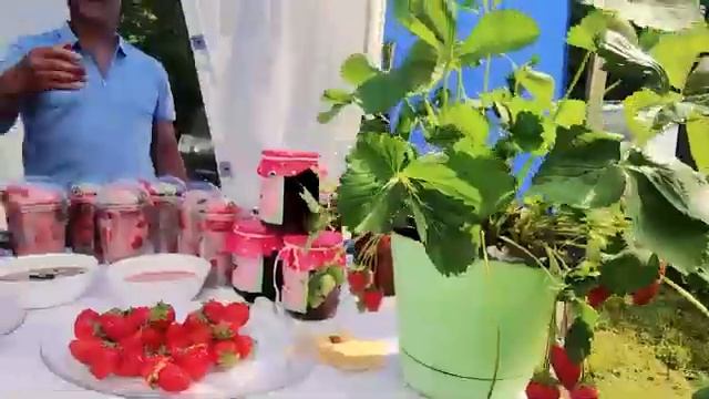 Сабантуй смотреть онлайн