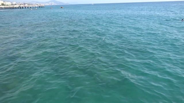 Спецвыпуск из Турции Цена монеты 1 лира 2019 года смотреть онлайн