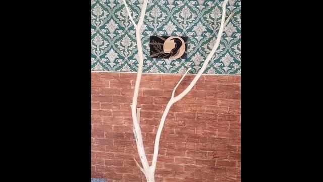 Как сделать когтеточку из дерева для котиков своими руками. Cats, Sphynx смотреть онлайн