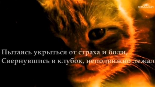 Грустная история !( Sad story ! смотреть онлайн