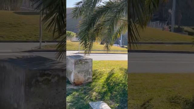 Купальницы в центре Савоны Италия смотреть онлайн
