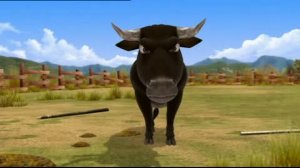 Медведь Бернард - Боец