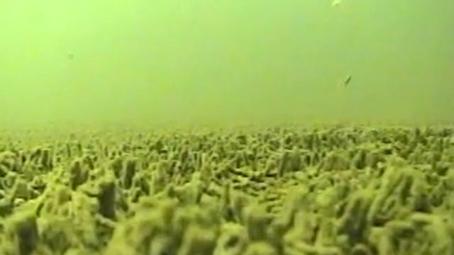 Рыбалка на ленка. Подводная съемка апрель 2023. смотреть онлайн