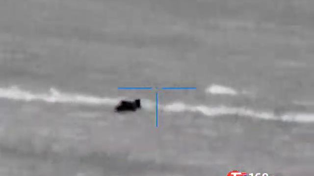 Охота на шакалов с дерева.2 смотреть онлайн