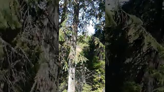 Где отдохнуть, что посмотреть? Красивое место Башкирии, Павловка, Красный ключ. смотреть онлайн