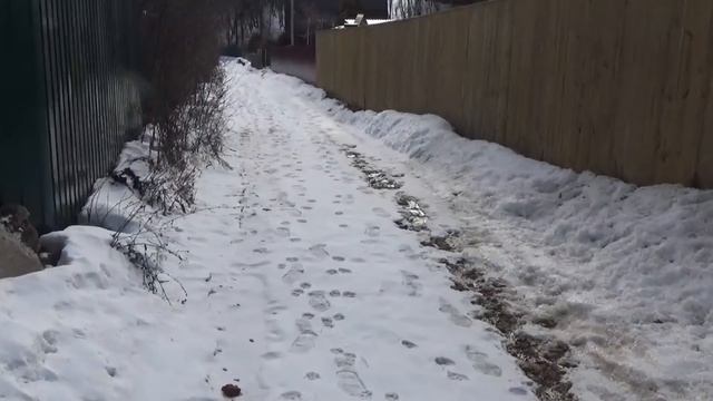 ВЛОГ Очень Странный Заброшенный Дом. ТОМ -"спасатель" СОЕК.)))) смотреть онлайн