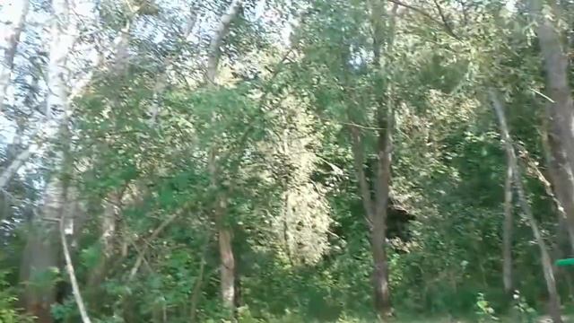 Одинокий осенний лист смотреть онлайн