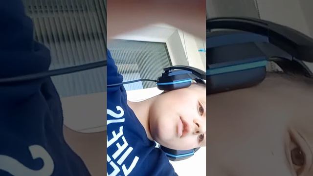 реальное видео мышки смотреть онлайн