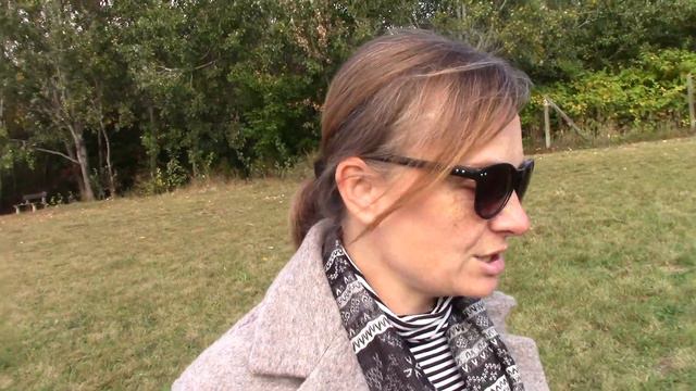 DOG LIVE Жизнь собачья