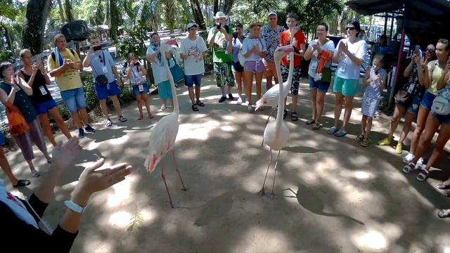 Зоопарк под открытым небом Khao Kheow. смотреть онлайн