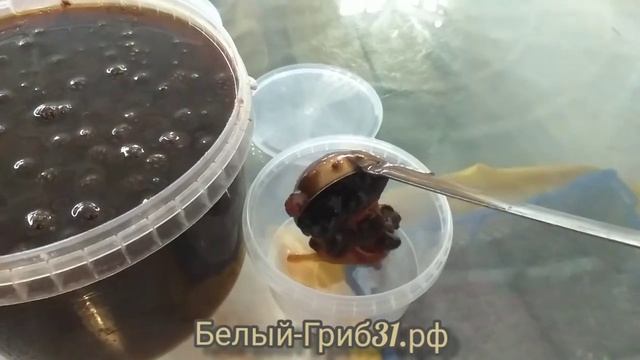 Варенье из сосновых шишек. Белый-Гриб31.рф. Продажа смотреть онлайн