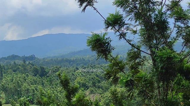 Pilandoor views @ Kolli hills смотреть онлайн