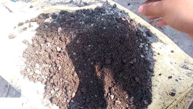Repotting of Aglaonema Plant || When to Repot a Plant || Soil Mix and Hacks || Ep-21 смотреть онлайн