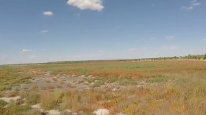 г.Счастье. 3-й пруд охладитель. Городской пляж "Теплые воды". 2016.