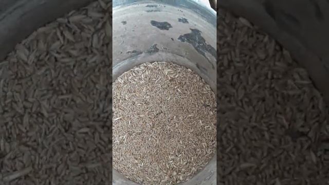 Ситовеюшая установка туречкая унормак в селе пуркары смотреть онлайн