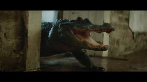 OneRepublic - Counting Stars