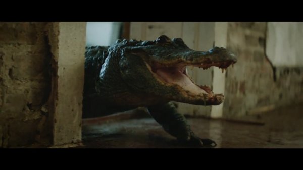 OneRepublic - Counting Stars