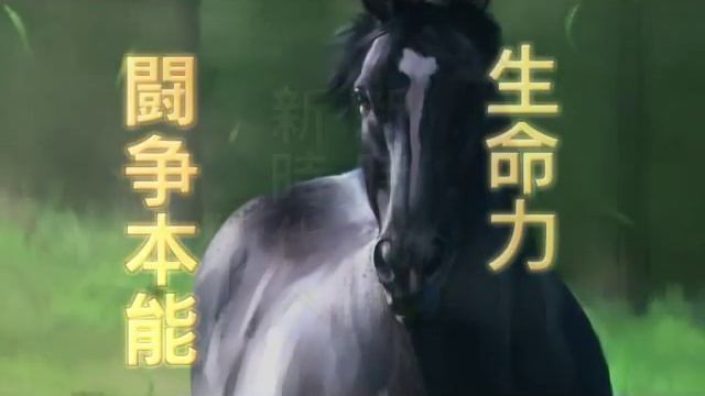 Winning Post 7 MAXIMUM 2008 スーパーサイヤー『サンデーサイレンス』 смотреть онлайн