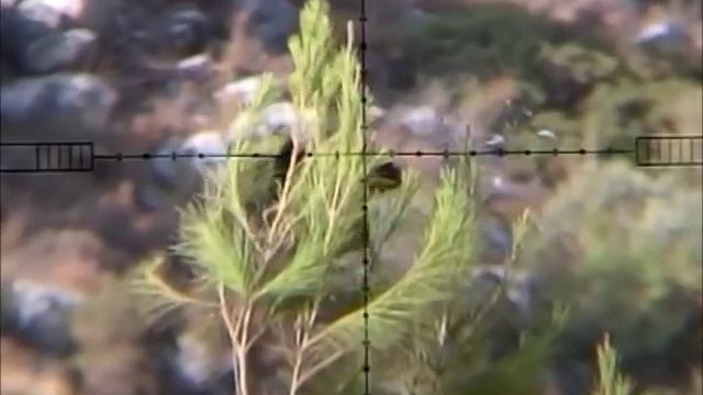 air rifle crow hunting 22. new pest control смотреть онлайн