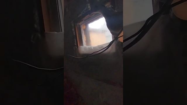 Куры- птицы!!!! смотреть онлайн