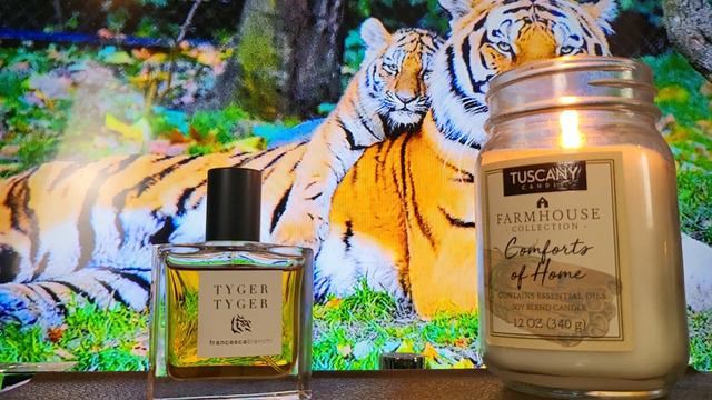 Tyger Tyger Francesca Bianchi