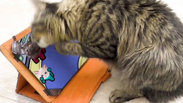 Cat reaction to, Among Us Cat Pop dance Story#3 смотреть онлайн