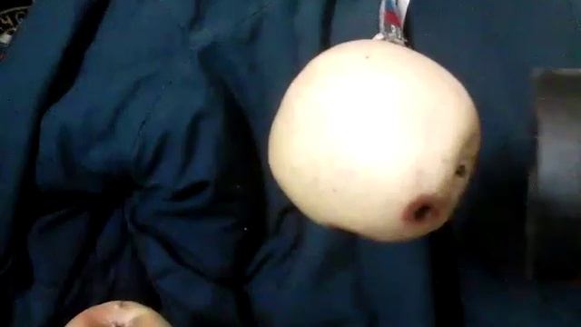 Можно ли магнитом? притянуть яблоко ??? смотреть онлайн