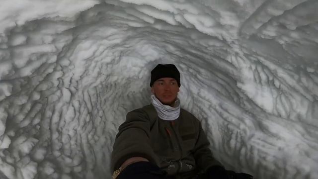 Приморец Леонид Зайка снял уникальные кадры из логова белого медведя смотреть онлайн