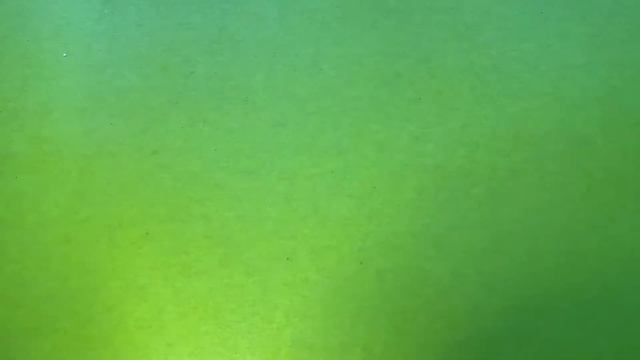 Кольцо с ромашками ??♀️ / простое колечко из бисера смотреть онлайн