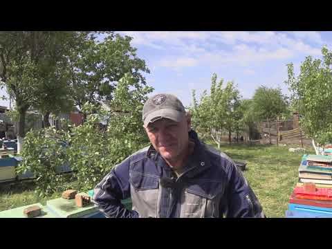 С Акацией пролетели. смотреть онлайн