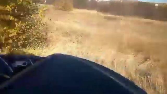 Возврат на моторное масло:ЛУКОЙЛ. смотреть онлайн