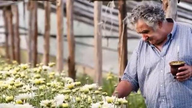 Бывший президент Уругвая Хосе Мухика смотреть онлайн