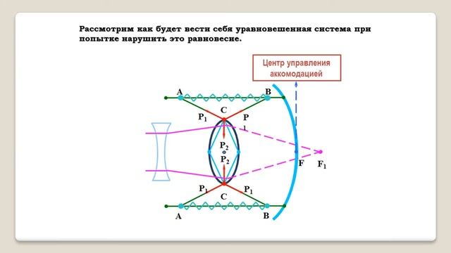 Профессор Дембский: восстановление зрения