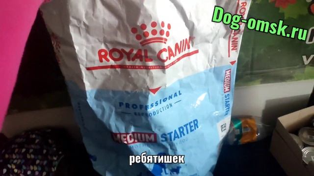 Малявочки. смотреть онлайн