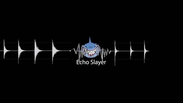 Как работает акустический поролон Echo Slayer смотреть онлайн