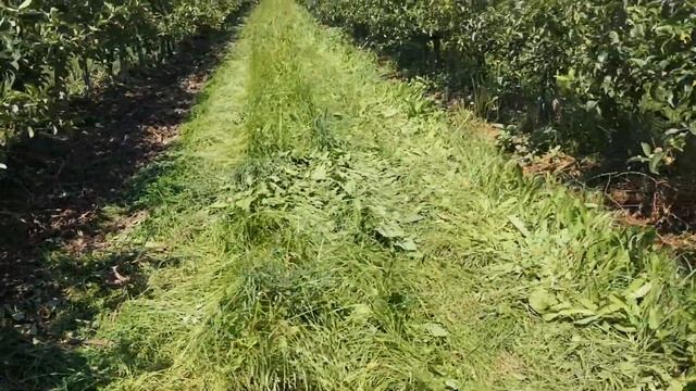 Культиватор садів та виноградників смотреть онлайн