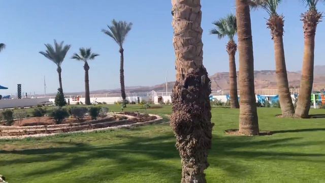 Albatros Sharm Resort ( Beach Albatros ) . 2023 . Январь . Номер . Территория . Пляж