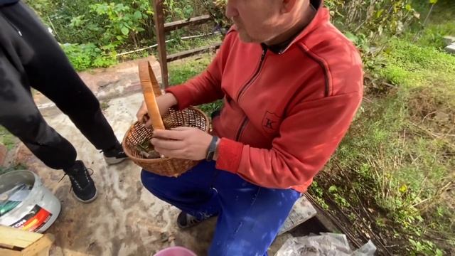 Поездка за грибами часть 2 Mushroom picking part 2 смотреть онлайн