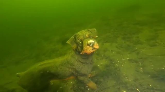 Саша Л и озеро Долгое смотреть онлайн