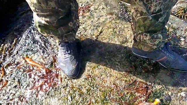 Спас человека от страшной твари! Смотреть до конца! смотреть онлайн