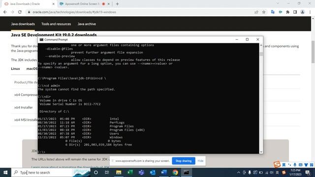 Download Oracle Java JDK SE and install it in Windows смотреть онлайн