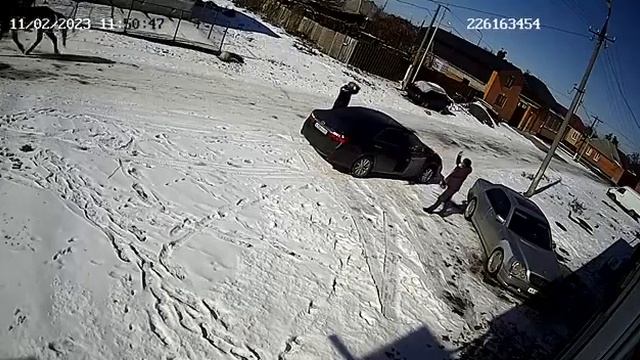 ‼️Мерин против Тойоты. Конь запрыгнул на камри. смотреть онлайн