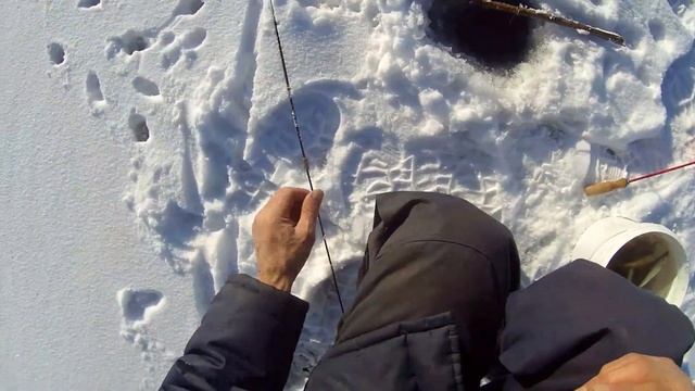 МНОГО ЩУКИ.ПЕРВЫЙ ЛЕД.ОЗЕРО.ВОЛГОГРАДСКАЯ ОБЛАСТЬ смотреть онлайн
