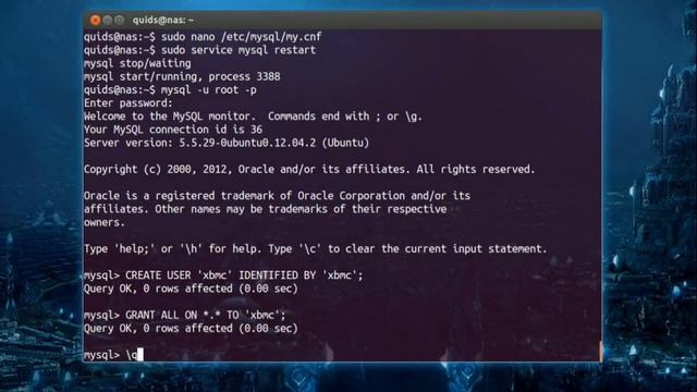 Sharing a Single Library for Multiple Kodi Systems смотреть онлайн