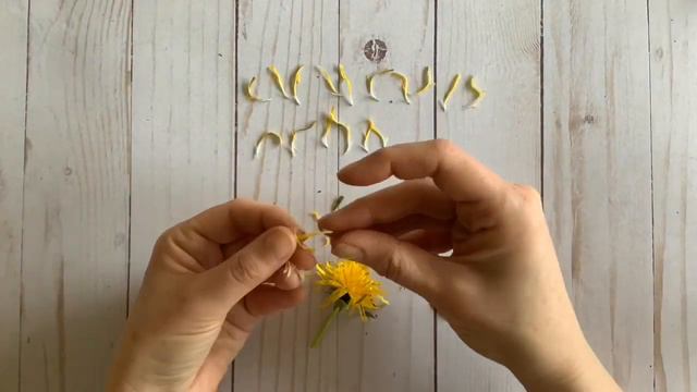 Une quête en nature pour les enfants confinés 4 смотреть онлайн