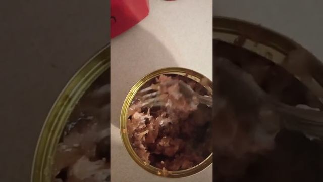 Открываем тушенку ОВА, тест на вкусность смотреть онлайн
