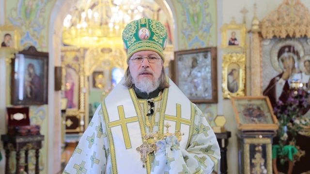 Проповедь митрополита МАРКА. День Святого Духа (05.06.2023 г.) смотреть онлайн