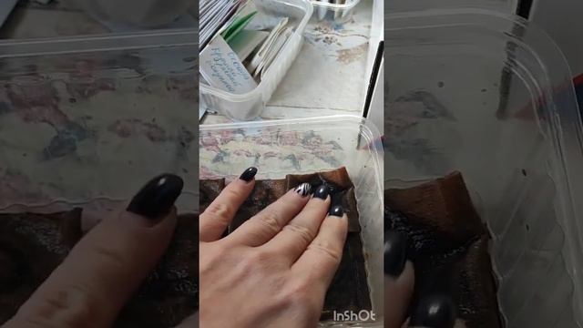 Подготовка семян перцев к посадке смотреть онлайн