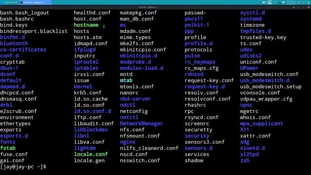 Linux Commands for Beginners 18 - Variables смотреть онлайн