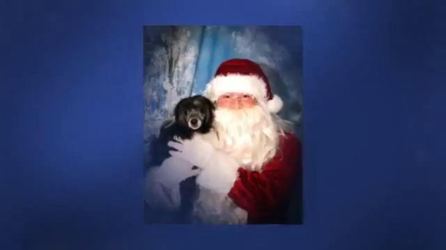 Pet Pictures with Santa by Mitchell Photography and Greystone Pet Hospital смотреть онлайн